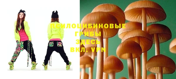 mdpv Арсеньев