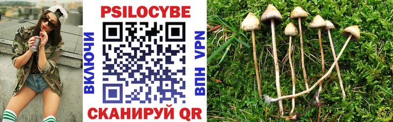 купить закладку  Семилуки  Галлюциногенные грибы прущие грибы 