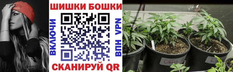 цена   Семилуки  Каннабис VHQ 